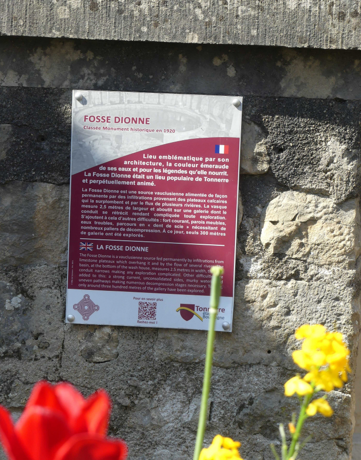 P1000731.JPG