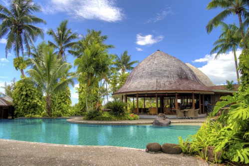  paysage palmier maison avec piscine