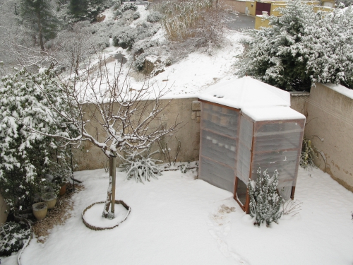 neige 02022012 001.jpg