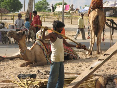 PUSHKAR