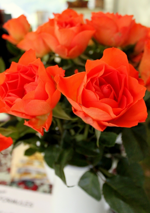 1-1-IMG_4060.JPG