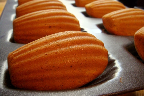 20080730-madeleines-homemade.jpg