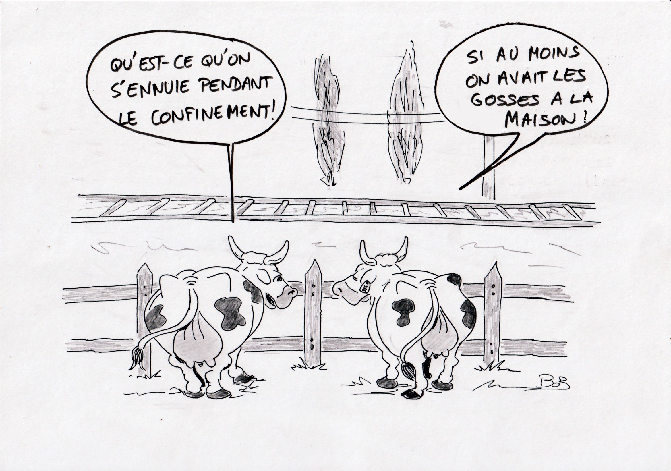 2020-03-21-vache-confinement-blog.jpg