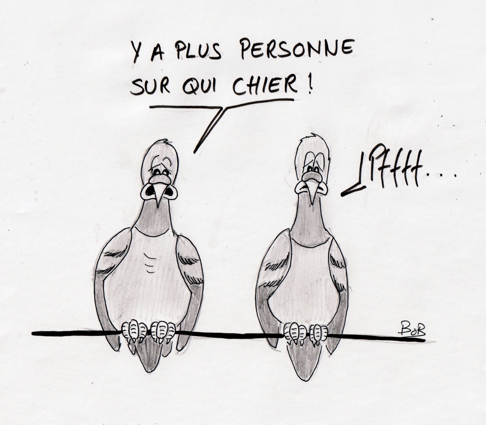 2020-04-06-pigeons-deprimes.jpg