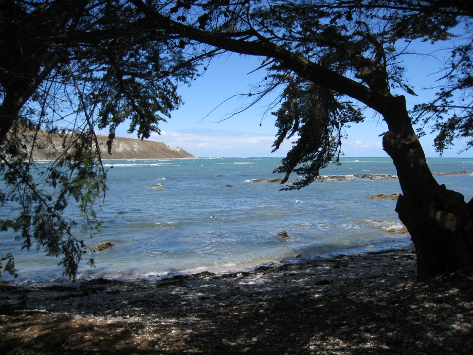 IMG_3164.JPG