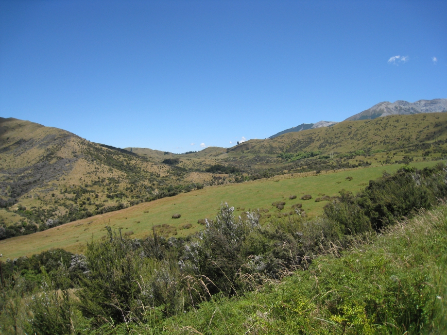 IMG_3207.JPG