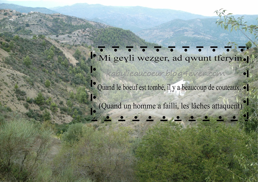 proverbe berbere kabyle lachete 