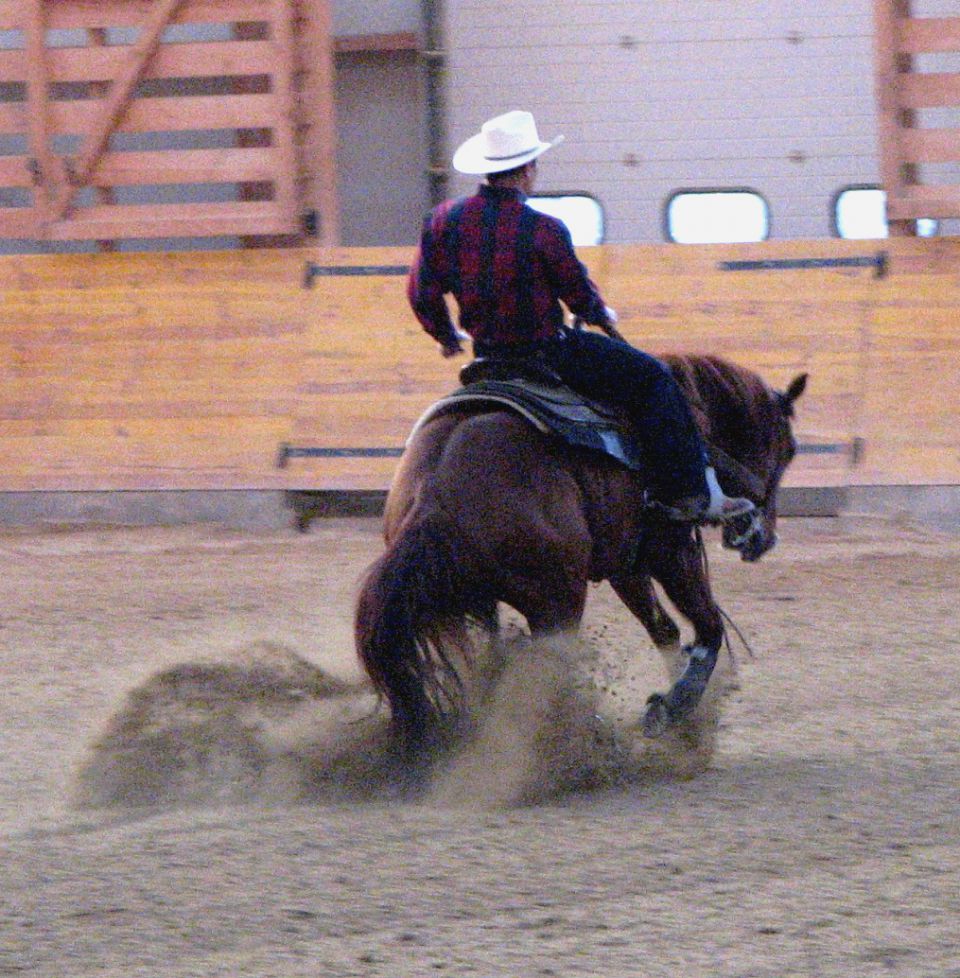 Canfora Training Stables