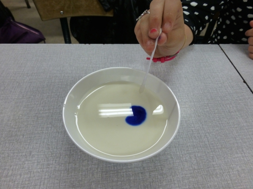 P1000144.JPG