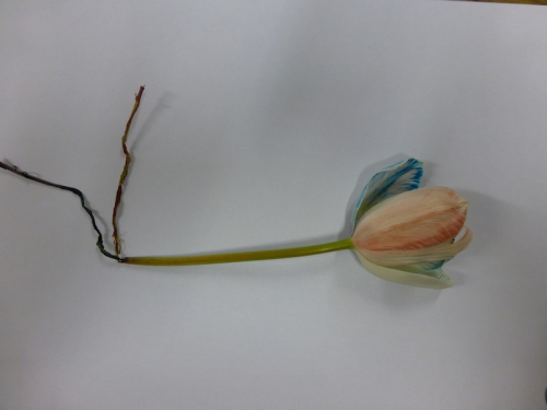 P1000132.JPG