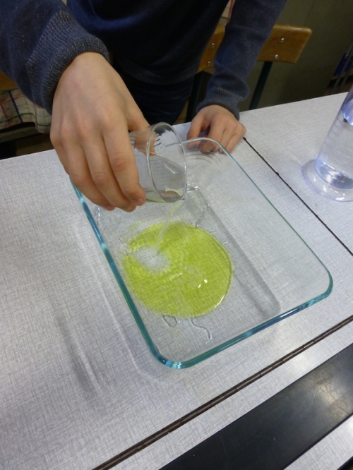 P1000047.JPG