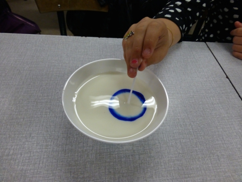 P1000145.JPG