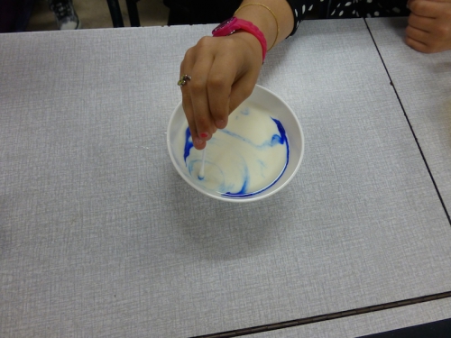 P1000147.JPG