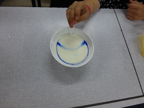 P1000146.JPG