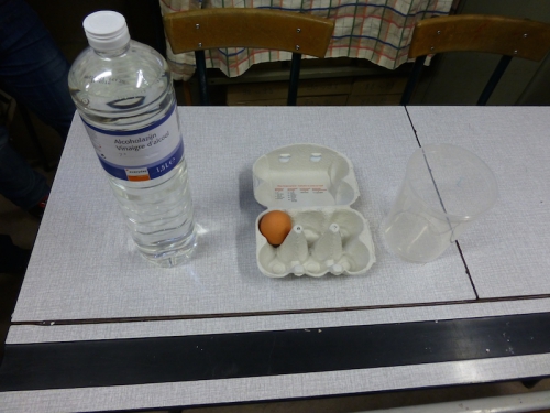 P1000008.JPG