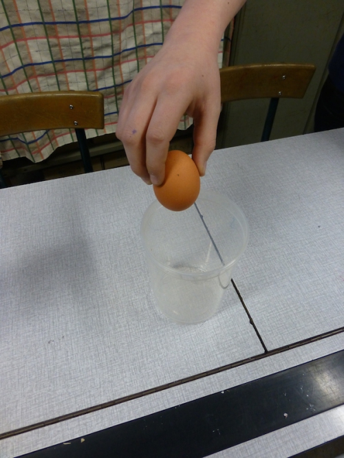 P1000009.JPG