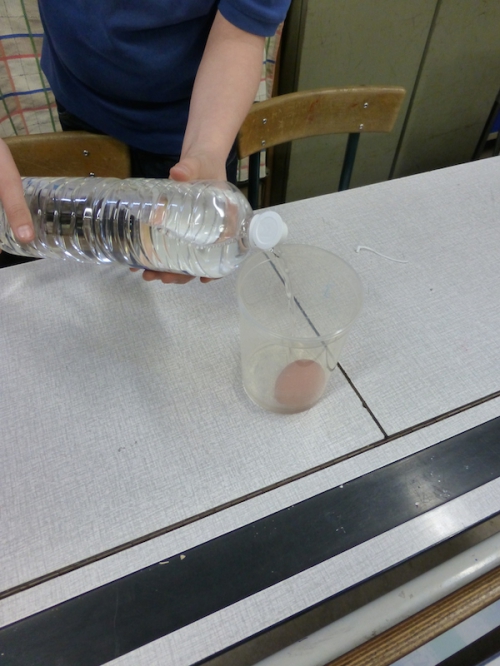 P1000012.JPG