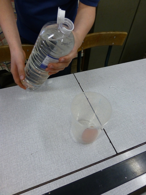 P1000011.JPG