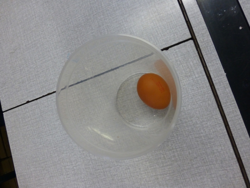 P1000010.JPG
