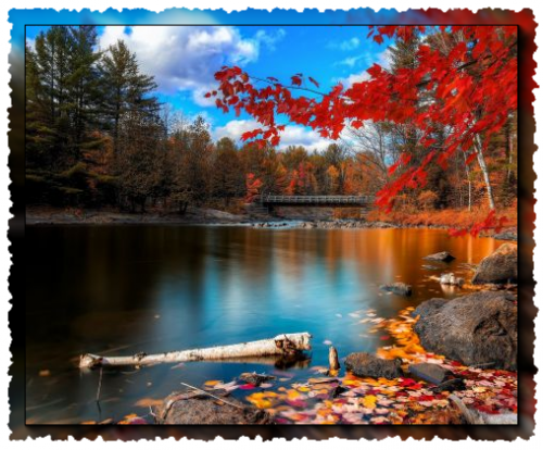paysage d'automne.png
