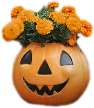 bouquet halloween.png