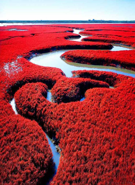 méandres fleuve et bords rouges.jpg