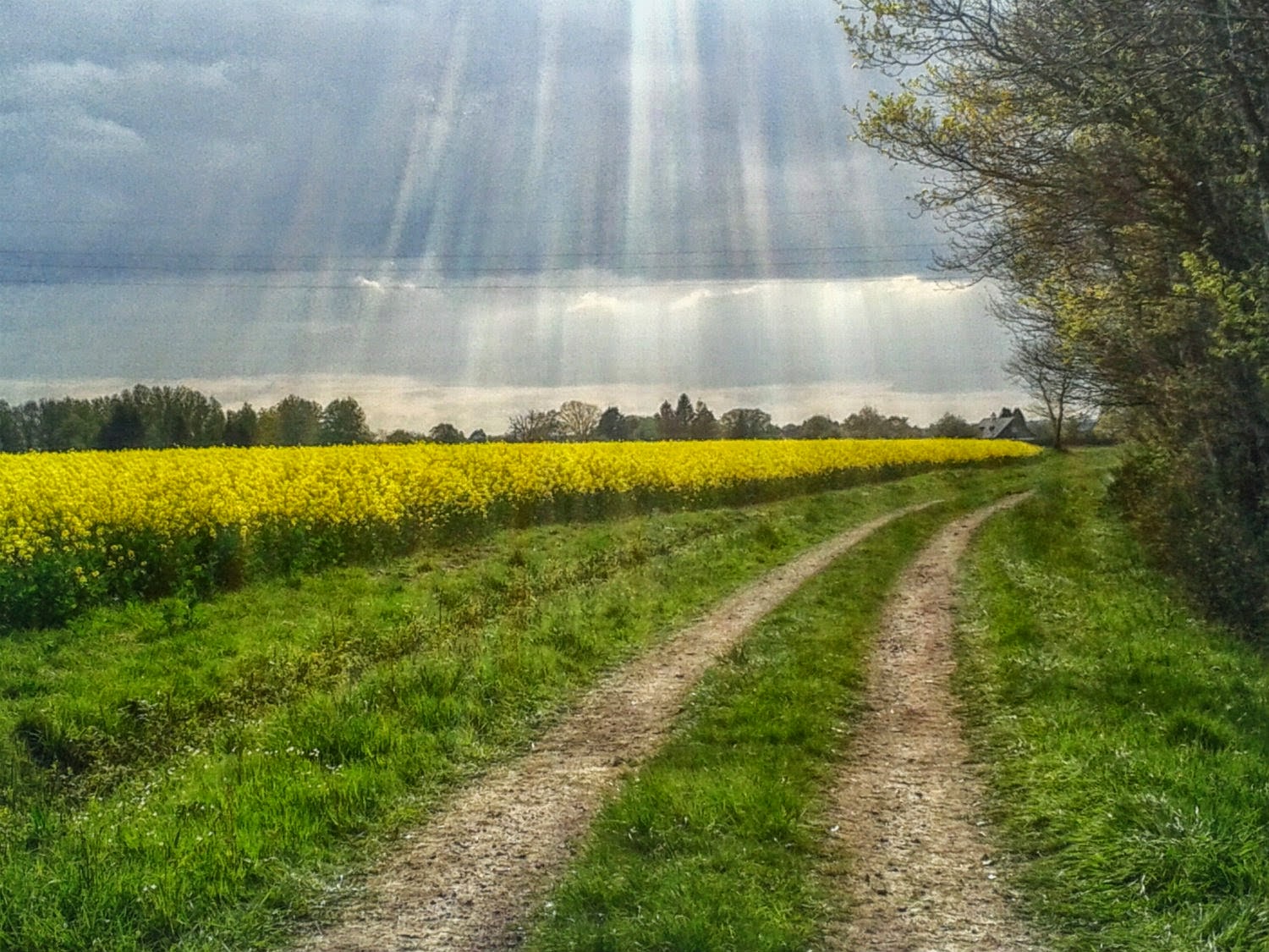 au bout du chemin.jpg