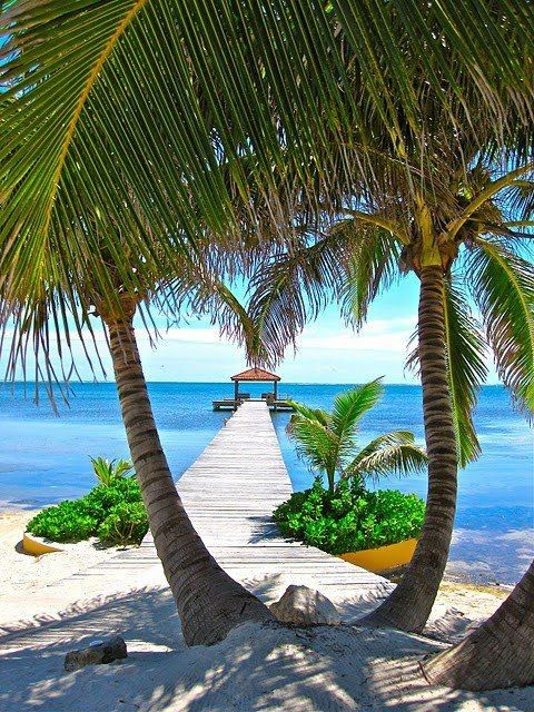 Ponton sur plage paradisiaque.jpg