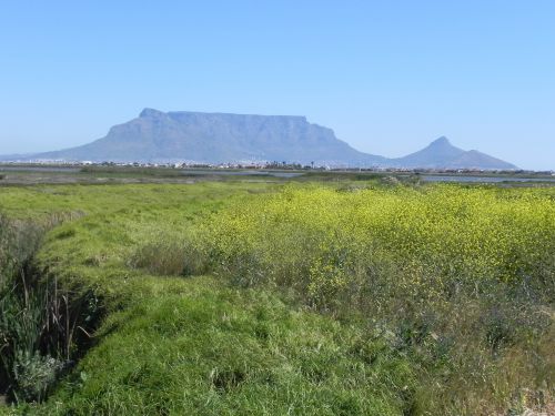 Montagne de la Table - Le Cap (Afrique du Sud)