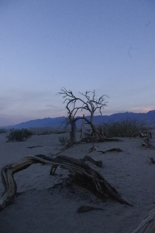 7_Dune de sable de Mesquite Flat.JPG