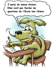 diplome-chien.png
