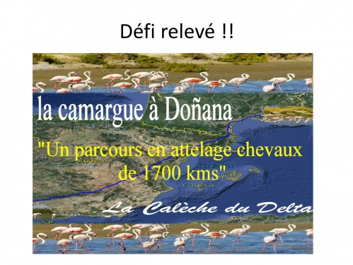 histoire du projet4.jpg