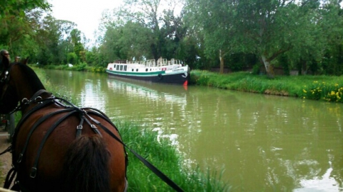 V__D062.jpg