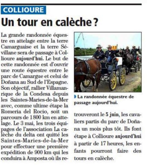 Capture.JPG les calèches à Collioure.JPG