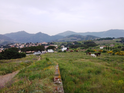 P1000757.JPG