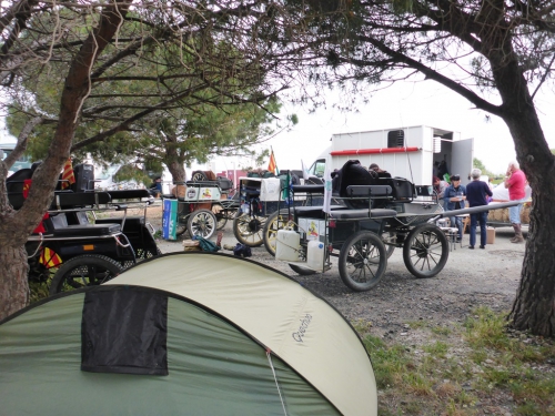 P1000763.JPG