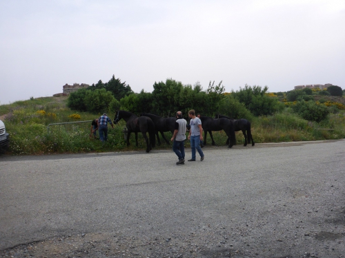 P1000768.JPG