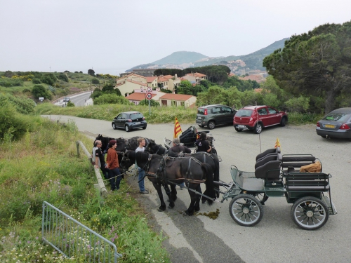 P1000779.JPG