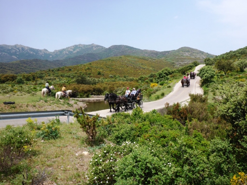 P1000793.JPG