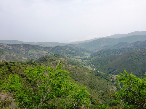P1000785.JPG