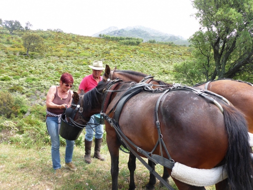 P1000800.JPG