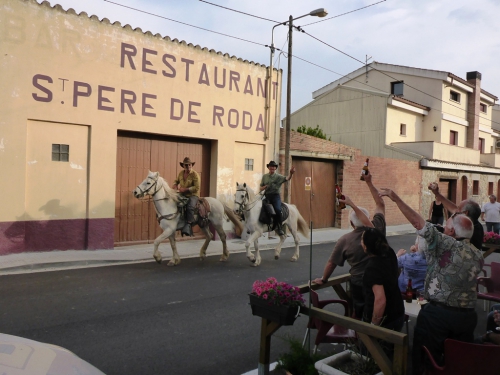 P1000854.JPG