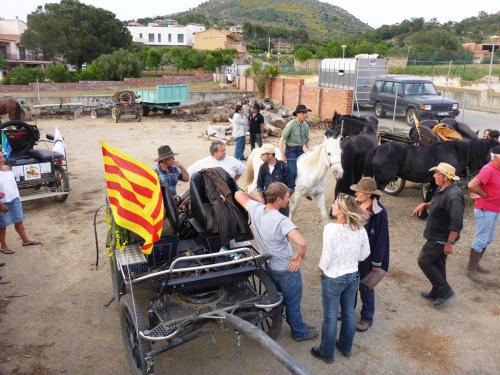 P1000859.JPG