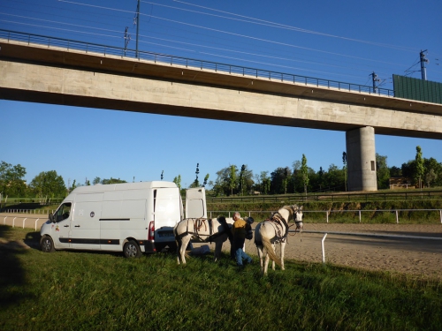 P1000910.JPG