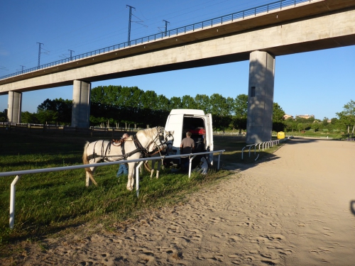 P1000911.JPG