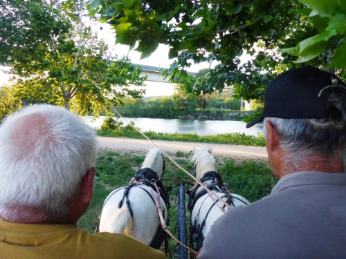 P1000919.JPG