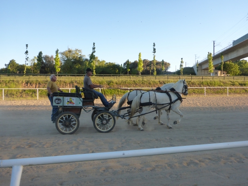 P1000916.JPG