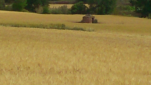 IMG-20150525-WA0012.jpg
