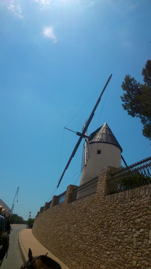 IMG-20150603-WA0002.jpg