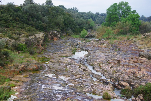 IMGP4948.JPG